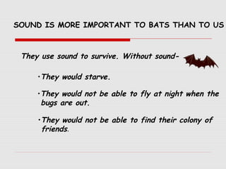 SOUND IS MORE IMPORTANT TO BATS THAN TO US
They use sound to survive. Without sound-
•They would starve.
•They would not be able to fly at night when the
bugs are out.
•They would not be able to find their colony of
friends.
 