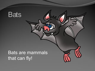 Bats

Bats are mammals
that can fly!

 