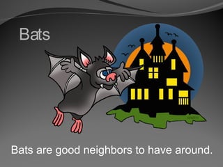 Bats

Bats are good neighbors to have around.

 