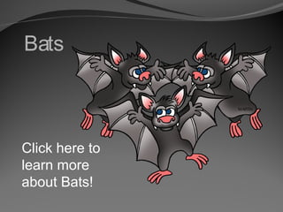 Bats

Click here to
learn more
about Bats!

 