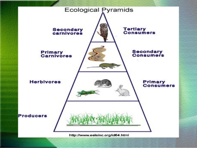 AST Bats: An Introduction