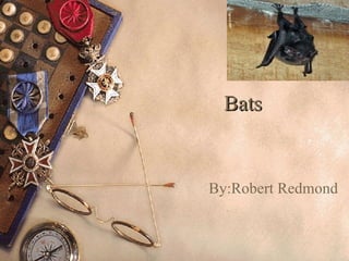 Bats By:Robert Redmond 