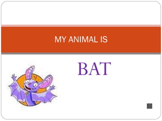 MY ANIMAL IS BAT 