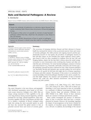 SPECIAL ISSUE – BATS
Bats and Bacterial Pathogens: A Review
K. Mühldorfer
Research Group of Wildlife Diseases, Leibniz Institute for Zoo and Wildlife Research, Berlin, Germany
Impacts
• Despite the multitude of publications on infectious agents detected in bat
species worldwide, little is known about the presence of bacterial pathogens
in bats.
• The purpose of this review is to provide an overview of main bacterial
pathogens isolated from bats, which have the potential to cause disease in
bats and humans.
• Furthermore, specific characteristics of bats as carriers of pathogenic
bacteria are discussed to identify areas that could be rewarding for further
research.
Introduction
The order Chiroptera is the most diverse and geographi-
cally distributed mammalian taxon found on all conti-
nents except Antarctica (Schipper et al., 2008). Bats are
unique among mammals in their capability to fly and
cover long distances during seasonal migrations, and their
potential for very large, colonial populations. These char-
acteristics together with their long lifespan and their abil-
ity to inhabit a multitude of diverse ecological niches
make bats among the most successful species on earth
but have also increased the global interest in bats as
potential reservoir hosts and vectors of zoonotic patho-
gens (Calisher et al., 2006; Wong et al., 2007; Kuzmin
et al., 2011; Wang et al., 2011). Their role in disease epi-
demiology is even more important as bats are susceptible
to a multitude of different microorganisms that include
viruses, bacteria, fungi and parasites (Whitaker et al.,
2009; Wibbelt et al., 2009). Several of these infectious
agents are common to humans and domestic animals.
Many studies investigated the presence of infectious
agents in bats, in particular those that have a zoonotic
potential for humans. However, the knowledge regarding
the impact of microorganisms on bat hosts is limited for
the majority of microbial species detected (Mühldorfer
et al., 2011a,b). In addition, the knowledge of the natural
Keywords:
Chiroptera; infectious agents; enteric bacteria;
Salmonella; Yersinia; Pasteurella; Leptospira;
arthropod-borne; antimicrobial resistance;
wildlife; zoonosis
Correspondence:
K. Mühldorfer. Research Group of Wildlife
Diseases, Leibniz Institute for Zoo and Wildlife
Research, Alfred-Kowalke-Str. 17, 10315
Berlin, Germany. Tel.: +49 30 5168246;
Fax: +49 30 5126104;
E-mail: muehldorfer@izw-berlin.de
Received for publication January 24, 2012
doi: 10.1111/j.1863-2378.2012.01536.x
Summary
The occurrence of emerging infectious diseases and their relevance to human
health has increased the interest in bats as potential reservoir hosts and vectors
of zoonotic pathogens. But while previous and ongoing research activities pre-
dominantly focused on viral agents, the prevalence of pathogenic bacteria in
bats and their impact on bat mortality have largely neglected. Enteric patho-
gens found in bats are often considered to originate from the bats’ diet and
foraging habitats, despite the fact that little is known about the actual ecologi-
cal context or even transmission cycles involving bats, humans and other ani-
mals like pets and livestock. For some bacterial pathogens common in human
and animal diseases (e.g. Pasteurella, Salmonella, Escherichia and Yersinia spp.),
the pathogenic potential has been confirmed for bats. Other bacterial pathogens
(e.g. Bartonella, Borrelia and Leptospira spp.) provide evidence for novel species
that seem to be specific for bat hosts but might also be of disease importance
in humans and other animals. The purpose of this review is to summarize the
current knowledge of bacterial pathogens identified in bats and to consider fac-
tors that might influence the exposure and susceptibility of bats to bacterial
infection but could also affect bacterial transmission rates between bats,
humans and other animals.
Zoonoses and Public Health
ª 2012 Blackwell Verlag GmbH 93
Zoonoses and Public Health, 2013, 60, 93–103
 