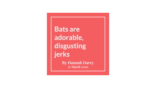 Bats are
adorable,
disgusting
jerks
By Hannah Darcy
21 March 2020
 
