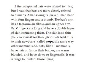 Bats In The Attic(fictional story)