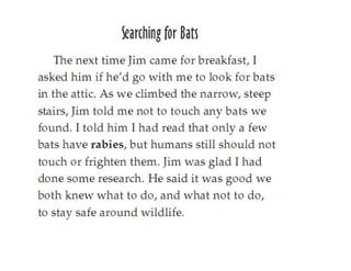 Bats In The Attic(fictional story)