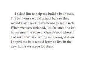 Bats In The Attic(fictional story)