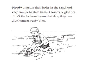 Bats In The Attic(fictional story)