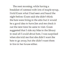 Bats In The Attic(fictional story)