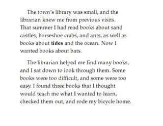 Bats In The Attic(fictional story)