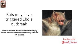 Bats may have
triggered Ebola
outbreak
Toddler Infected By Creatures While Playing
Inside A Hollow Tree In Guinea Likely 1st Case
Of Disease
Brought to you by
 