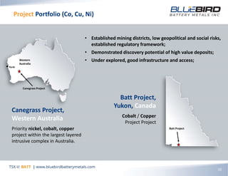 Project Portfolio (Co, Cu, Ni)
10
• Established mining districts, low geopolitical and social risks,
established regulatory framework;
• Demonstrated discovery potential of high value deposits;
• Under explored, good infrastructure and access;
Canegrass Project
Western
Australia
Perth
Canegrass Project,
Western Australia
Priority nickel, cobalt, copper
project within the largest layered
intrusive complex in Australia.
Batt Project,
Yukon, Canada
Cobalt / Copper
Project Project
Batt Project
 