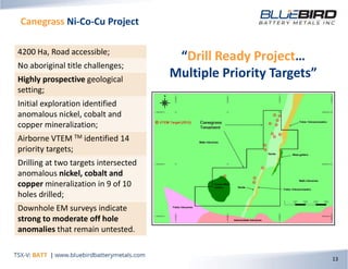 Canegrass Ni-Co-Cu Project
13
“Drill Ready Project…
Multiple Priority Targets”
4200 Ha, Road accessible;
No aboriginal title challenges;
Highly prospective geological
setting;
Initial exploration identified
anomalous nickel, cobalt and
copper mineralization;
Airborne VTEM TM identified 14
priority targets;
Drilling at two targets intersected
anomalous nickel, cobalt and
copper mineralization in 9 of 10
holes drilled;
Downhole EM surveys indicate
strong to moderate off hole
anomalies that remain untested.
 