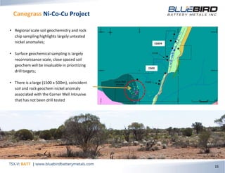 Canegrass Ni-Co-Cu Project
15
• Regional scale soil geochemistry and rock
chip sampling highlights largely untested
nickel anomalies;
• Surface geochemical sampling is largely
reconnaissance scale, close spaced soil
geochem will be invaluable in prioritizing
drill targets;
• There is a large (1500 x 500m), coincident
soil and rock geochem nickel anomaly
associated with the Corner Well Intrusive
that has not been drill tested
CG039
CG02
 