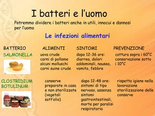 I batteri e l’uomo Potremmo dividere i batteri anche in utili, innocui e dannosi per l’uomo Le infezioni alimentari BATTERIO  ALIMENTI  SINTOMI  PREVENZIONE  SALMONELLA uova crude carni di pollame alcuni molluschi carni suine crude dopo 12-36 ore: diarrea, dolori addominali, nausea, vomito, febbre cottura sopra i 60°C conservazione sotto i 10°C CLOSTRIDIUM  BOTULINUM conserve preparate in casa e non sterilizzate (vegetali sott’olio)‏ dopo 12-48 ore: sintomi di tipo nervoso, assenza sintomi gastrointestinali, morte per paralisi respiratoria rispetto igiene nella lavorazione sterilizzazione delle conserve 