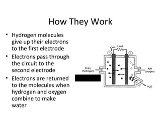 How They Work
• Hydrogen molecules
give up their electrons
to the first electrode
• Electrons pass through
the circuit to the
second electrode
• Electrons are returned
to the molecules when
hydrogen and oxygen
combine to make
water
 
