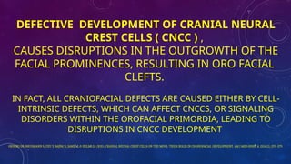 COMPREHENSIVE MANAGEMENT OF CLEFTS OF THE FACE LIPS,NOSE AND PALATE | PPTX