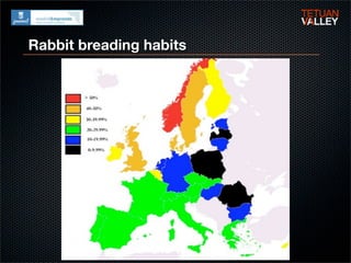 Rabbit breading habits
 