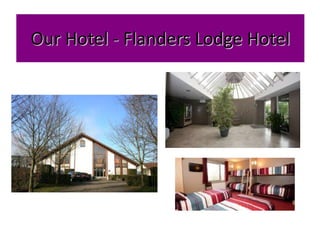 Our Hotel - Flanders Lodge Hotel
 