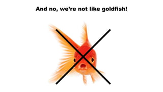 And no, we’re not like goldfish!
 