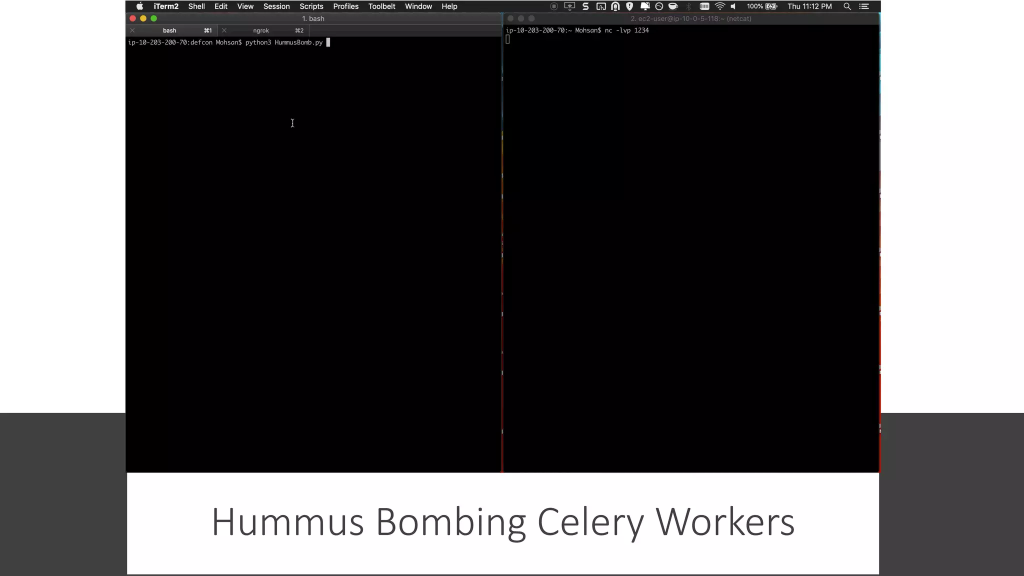 Hummus Bombing Celery Workers