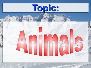 Topic: Animals 