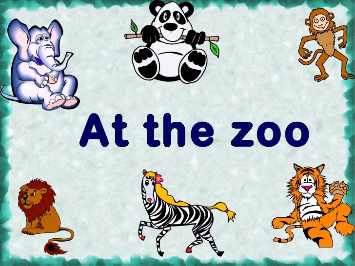 Animal 5th grade
