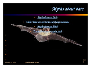 Myths about bats. Myth=Bats are birds Truth=Bats are not birds but flying mammals Myth=Bats are blind Truth=Bats can see quite well 