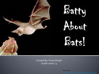 Batty About Bats! Created By: Tonya Wright Grade Level 2-3 Photo Credit: http://www.ctrl-c.liu.se/ftp/IMAGES/ANIMALS/misc/bat.jpg 