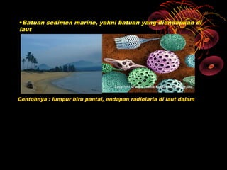 •Batuan sedimen marine, yakni batuan yang diendapkan di
laut




Contohnya : lumpur biru pantai, endapan radiolaria di laut dalam
 