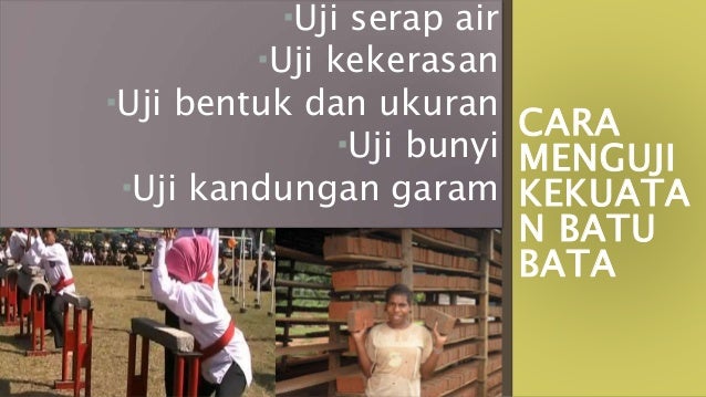 Batu bata dan batako