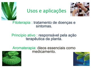 Usos e aplicações
Fitoterapia : tratamento de doenças e
sintomas.
Princípio ativo : responsável pela ação
terapêutica da planta.
Aromaterapia: óleos essenciais como
medicamento.
 