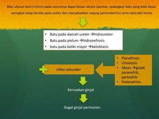 Pielum BATU_SALURAN_KEMIH.pptx