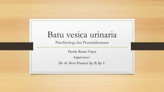 Batu vesica urinaria
Patofisiologi dan Penatalaksanaan
Hendy Buana Vijaya
Supervisor :
Dr. dr. Heru Prasetya Sp. B, Sp. U
 