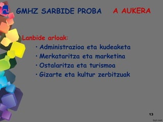 GMHZ SARBIDE PROBA
Lanbide arloak:
• Administrazioa eta kudeaketa
• Merkataritza eta marketina
• Ostalaritza eta turismoa
• Gizarte eta kultur zerbitzuak
13
A AUKERA
 
