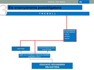3
                           ESCOLA L'AVE MARIA   46


    Els ensenyaments postobligatoris
 
