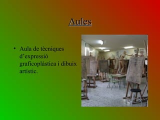 AulesAules
• Aula de tècniques
d’expressió
graficoplàstica i dibuix
artístic.
 