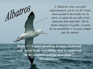 Albatros L’albatros, avec ses ailes majestueuses, est le roi de l’azur, mais quand il descends sur la terre, à cause de ses ailes il ne peut pas bien marcher.  De la même manière   le poète, à cause de sa sensibilitè, n’est pas compri par les autres. Poète = “A man speaking to men, endowed with more lively sensibility that is supposed to be common among mankind.” (Wordsworth) 
