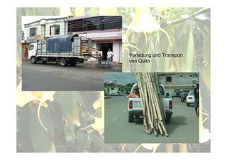 Verladung und Transport
von Quito
 