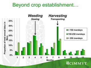 0%
5%
10%
15%
20%
25%
30%
35%
1 2 3 4 5 6 7 8 9 10 11 12
Proportionoftotalannuallaburin
Meru
Months
< 150 mandays
150-250 mandays
> 250 mandays
Weeding
Sowing
Harvesting
Transporting
Beyond crop establishment…
 