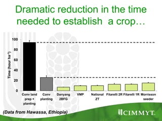Dramatic reduction in the time
needed to establish a crop…
0
20
40
60
80
100
Conv land
prep +
planting
Conv
planting
Danyang
2BFG
VMP National
ZT
Fitarelli 2R Fitarelli 1R Morrisson
seeder
Time(hourha-1)
(Data from Hawassa, Ethiopia)
 