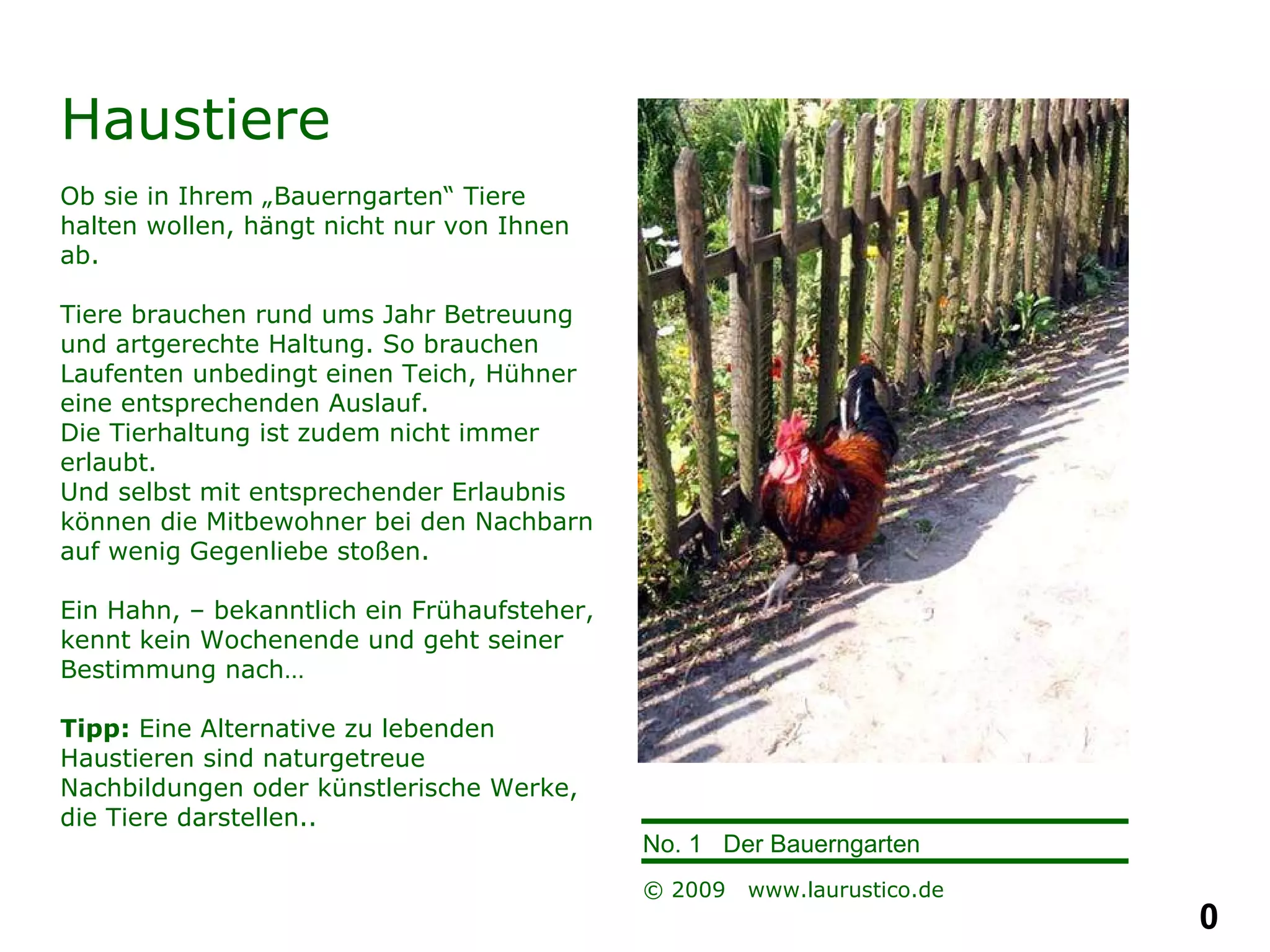 Haustiere  Ob sie in Ihrem „Bauerngarten“ Tiere halten wollen, hängt nicht nur von Ihnen ab.  Tiere brauchen rund ums Jahr Betreuung und artgerechte Haltung. So brauchen Laufenten unbedingt einen Teich, Hühner eine entsprechenden Auslauf.  Die Tierhaltung ist zudem nicht immer erlaubt. Und selbst mit entsprechender Erlaubnis können die Mitbewohner bei den Nachbarn auf wenig Gegenliebe stoßen. Ein Hahn, – bekanntlich ein Frühaufsteher, kennt kein Wochenende und geht seiner Bestimmung nach… Tipp:  Eine Alternative zu lebenden Haustieren sind naturgetreue Nachbildungen oder künstlerische Werke, die Tiere darstellen..  