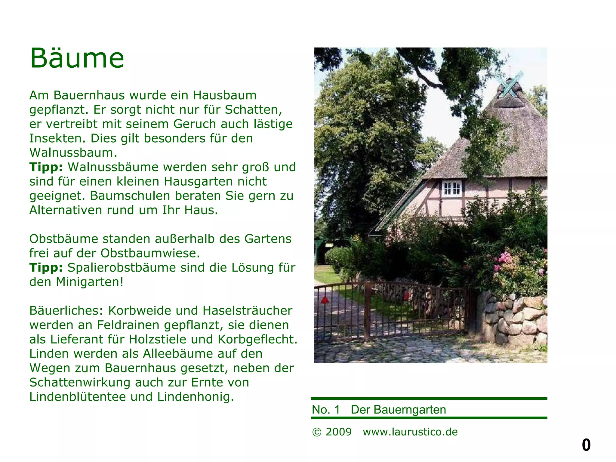 Bäume Am Bauernhaus wurde ein Hausbaum gepflanzt. Er sorgt nicht nur für Schatten, er vertreibt mit seinem Geruch auch lästige Insekten. Dies gilt besonders für den Walnussbaum. Tipp:  Walnussbäume werden sehr groß und sind für einen kleinen Hausgarten nicht geeignet. Baumschulen beraten Sie gern zu Alternativen rund um Ihr Haus. Obstbäume standen außerhalb des Gartens frei auf der Obstbaumwiese. Tipp:  Spalierobstbäume sind die Lösung für den Minigarten!  Bäuerliches: Korbweide und Haselsträucher werden an Feldrainen gepflanzt, sie dienen als Lieferant für Holzstiele und Korbgeflecht. Linden werden als Alleebäume auf den  Wegen zum Bauernhaus gesetzt, neben der Schattenwirkung auch zur Ernte von Lindenblütentee und Lindenhonig.  