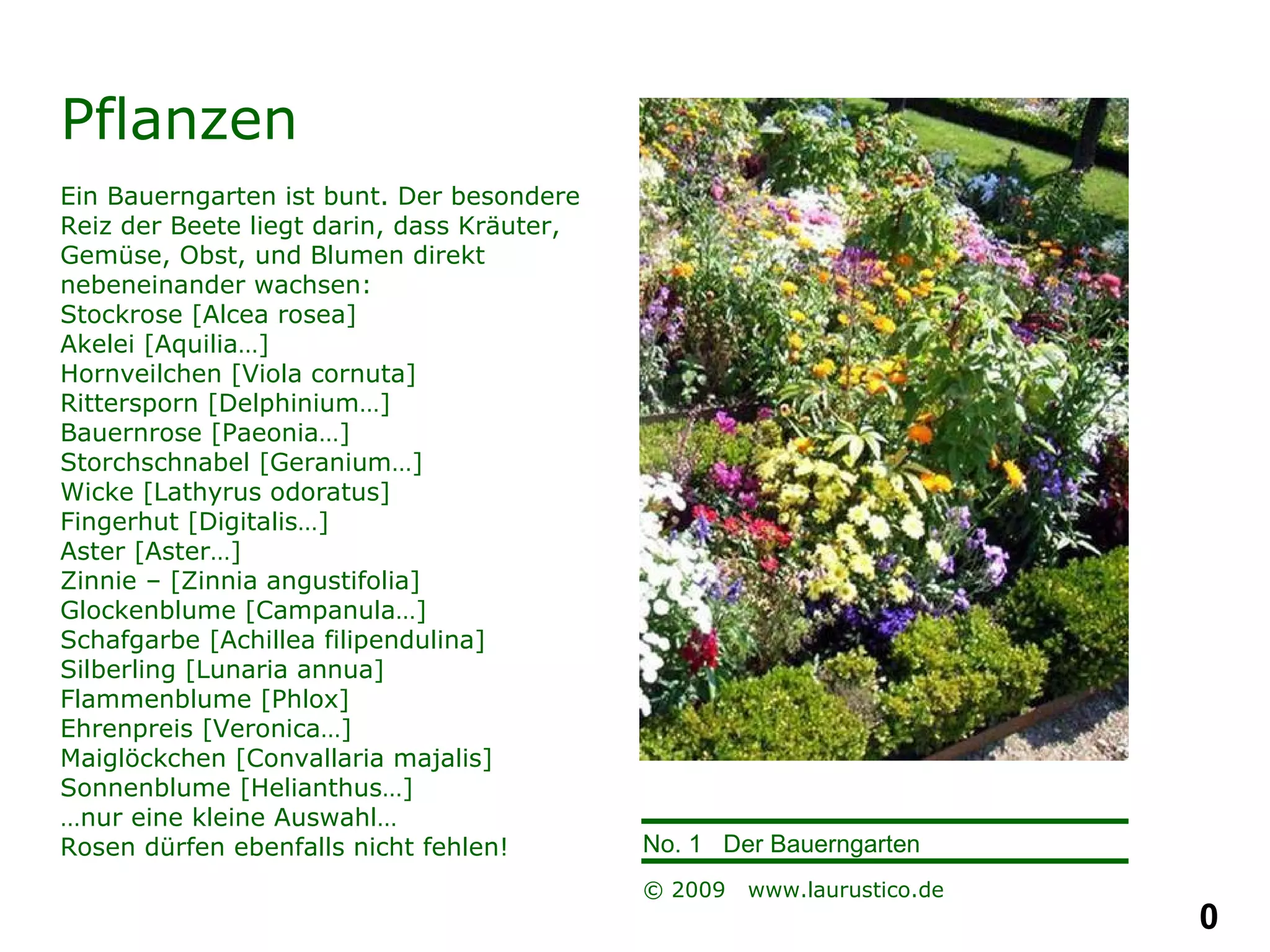 Pflanzen Ein Bauerngarten ist bunt. Der besondere Reiz der Beete liegt darin, dass Kräuter, Gemüse, Obst, und Blumen direkt nebeneinander wachsen: Stockrose [Alcea rosea] Akelei [Aquilia…] Hornveilchen [Viola cornuta] Rittersporn [Delphinium…] Bauernrose [Paeonia…] Storchschnabel [Geranium…] Wicke [Lathyrus odoratus] Fingerhut [Digitalis…] Aster [Aster…] Zinnie – [Zinnia angustifolia] Glockenblume [Campanula…] Schafgarbe [Achillea filipendulina] Silberling [Lunaria annua] Flammenblume [Phlox] Ehrenpreis [Veronica…] Maiglöckchen [Convallaria majalis] Sonnenblume [Helianthus…] … nur eine kleine Auswahl… Rosen dürfen ebenfalls nicht fehlen! 