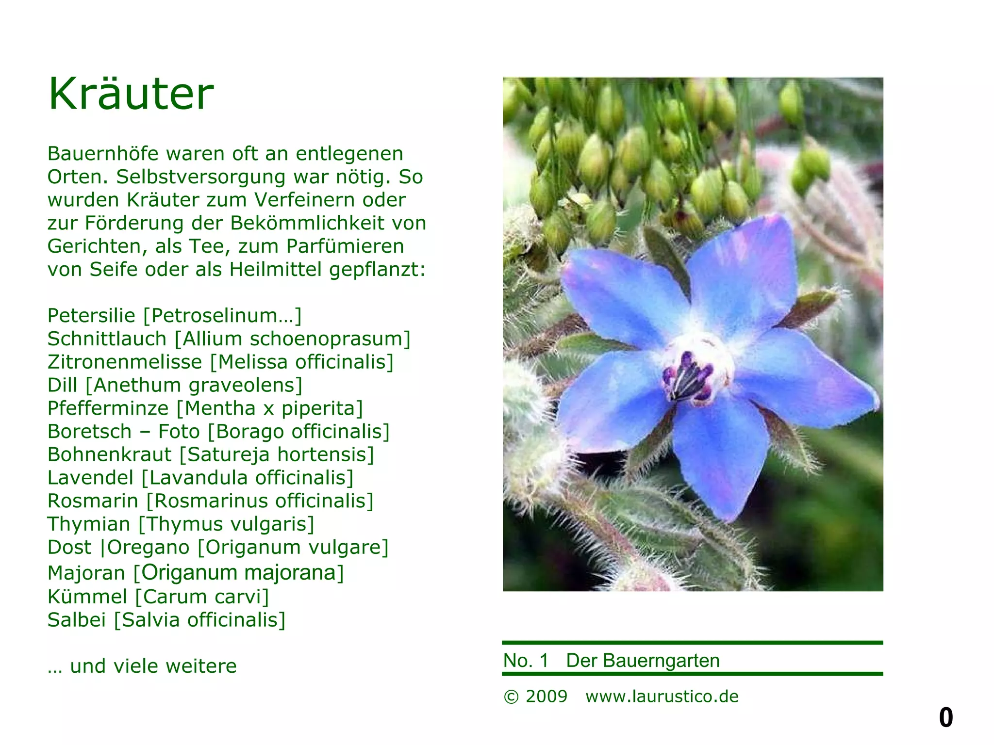 Kräuter Bauernhöfe waren oft an entlegenen Orten. Selbstversorgung war nötig. So wurden Kräuter zum Verfeinern oder zur Förderung der Bekömmlichkeit von Gerichten, als Tee, zum Parfümieren von Seife oder als Heilmittel gepflanzt: Petersilie [Petroselinum…] Schnittlauch [Allium schoenoprasum] Zitronenmelisse [Melissa officinalis] Dill [Anethum graveolens]  Pfefferminze [Mentha x piperita] Boretsch – Foto [Borago officinalis] Bohnenkraut [Satureja hortensis] Lavendel [Lavandula officinalis] Rosmarin [Rosmarinus officinalis] Thymian [Thymus vulgaris] Dost |Oregano [Origanum vulgare] Majoran [ Origanum majorana ] Kümmel [Carum carvi] Salbei [Salvia officinalis] …  und viele weitere 