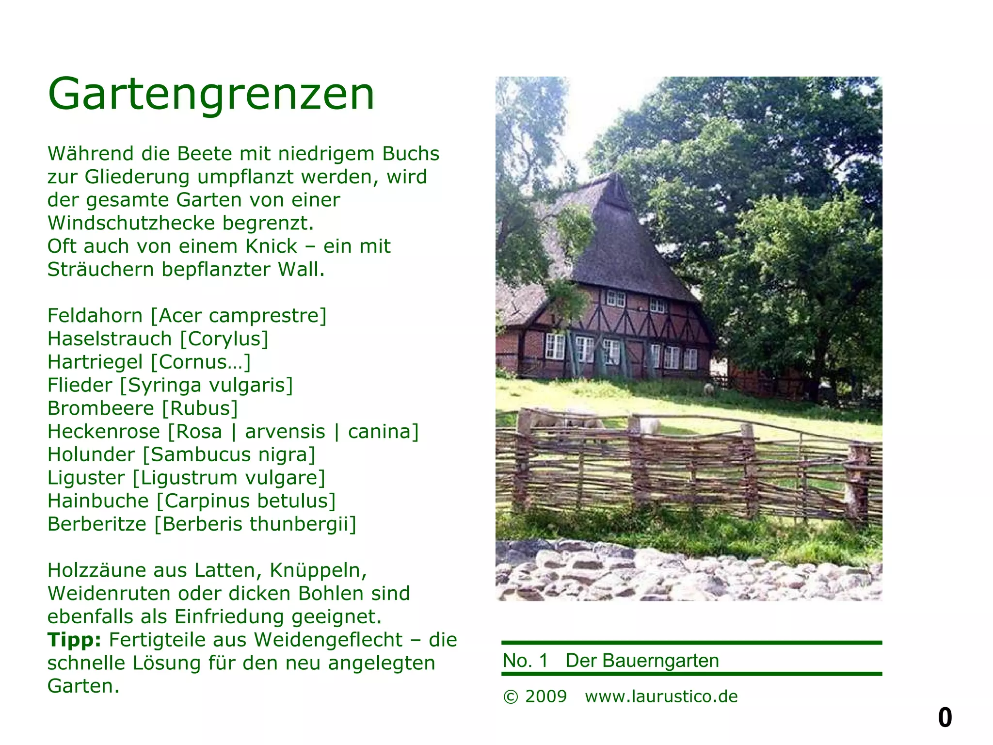 Gartengrenzen Während die Beete mit niedrigem Buchs zur Gliederung umpflanzt werden, wird  der gesamte Garten von einer Windschutzhecke begrenzt.  Oft auch von einem Knick – ein mit Sträuchern bepflanzter Wall. Feldahorn [Acer camprestre] Haselstrauch [Corylus] Hartriegel [Cornus…] Flieder [Syringa vulgaris] Brombeere [Rubus] Heckenrose [Rosa | arvensis | canina] Holunder [Sambucus nigra]  Liguster [Ligustrum vulgare] Hainbuche [Carpinus betulus] Berberitze [Berberis thunbergii] Holzzäune aus Latten, Knüppeln, Weidenruten oder dicken Bohlen sind ebenfalls als Einfriedung geeignet. Tipp:  Fertigteile aus Weidengeflecht – die schnelle Lösung für den neu angelegten Garten. 
