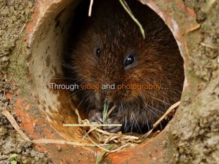 Through video and photography…
https://www.ﬂickr.com/photos/55426027@N03/6886862260/">Peter G Trimming</a> via
 