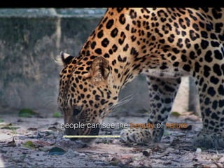 people can see the beauty of nature
"https://www.ﬂickr.com/photos/17868205@N00/15822046413/">phalinn</a> via <a
 