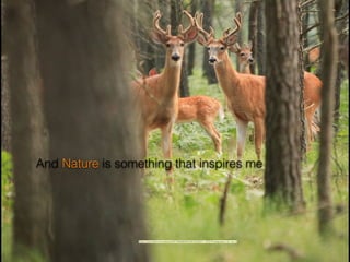 Nature and wildlife are something I love
And Nature is something that inspires me
https://www.ﬂickr.com/photos/29778206@N04/2972422027/">RTD Photography</a> via <a
 